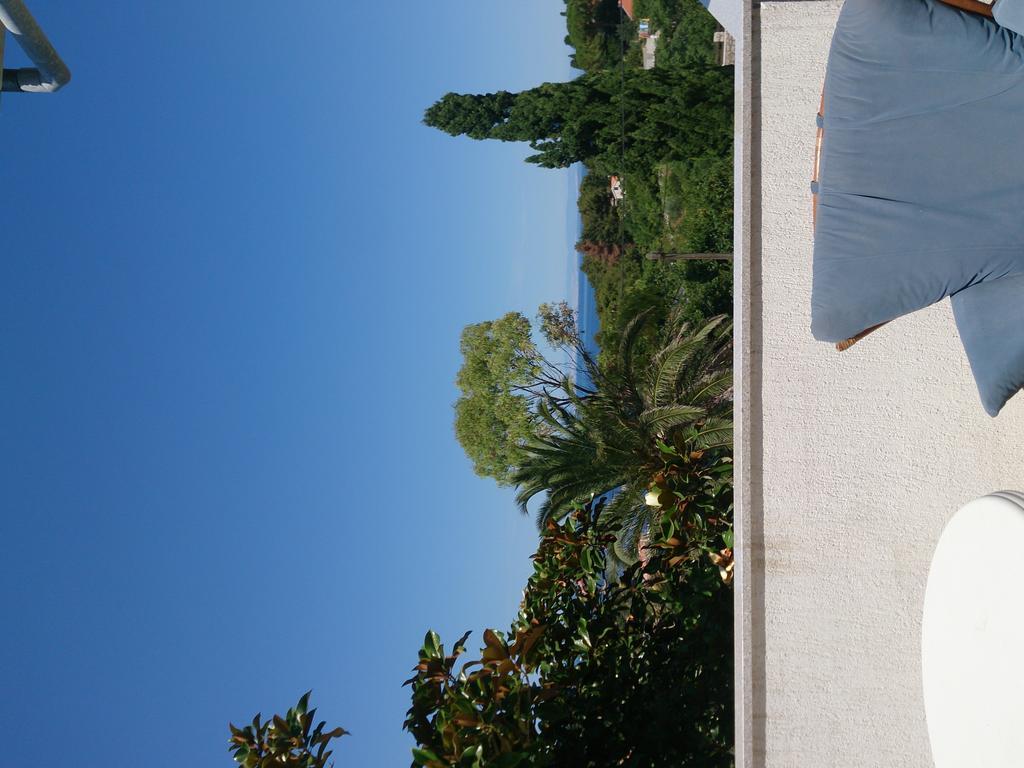 Apartment Pinoapplosinj Вели-Лошинь Экстерьер фото